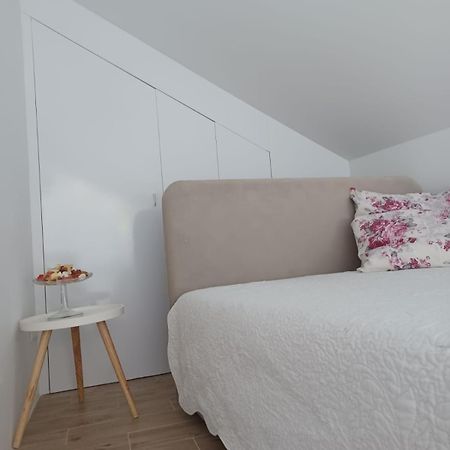 זאגרב Zil - Studio Apartment City Center מראה חיצוני תמונה